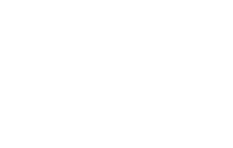 The Shine Star